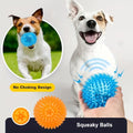 Squeaky Spikey Dog Ball Toy