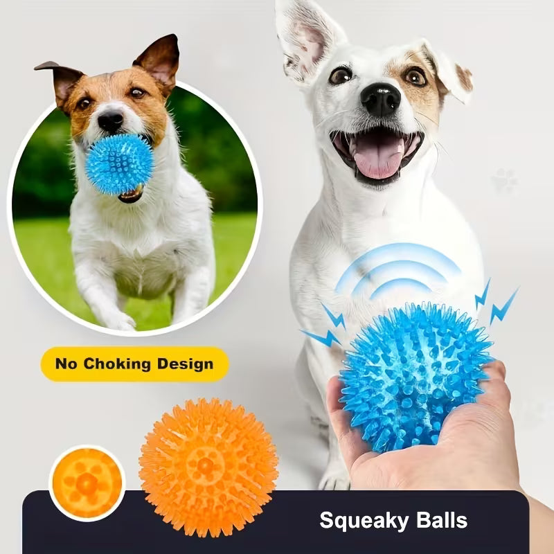 Squeaky Spikey Dog Ball Toy