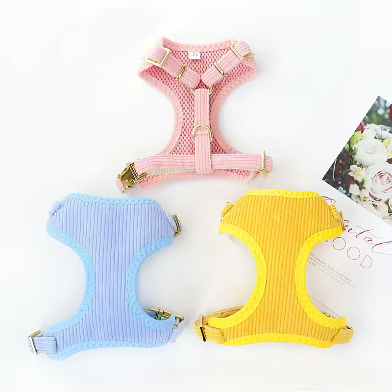 Cat Bow Collar Harness Set with Leash