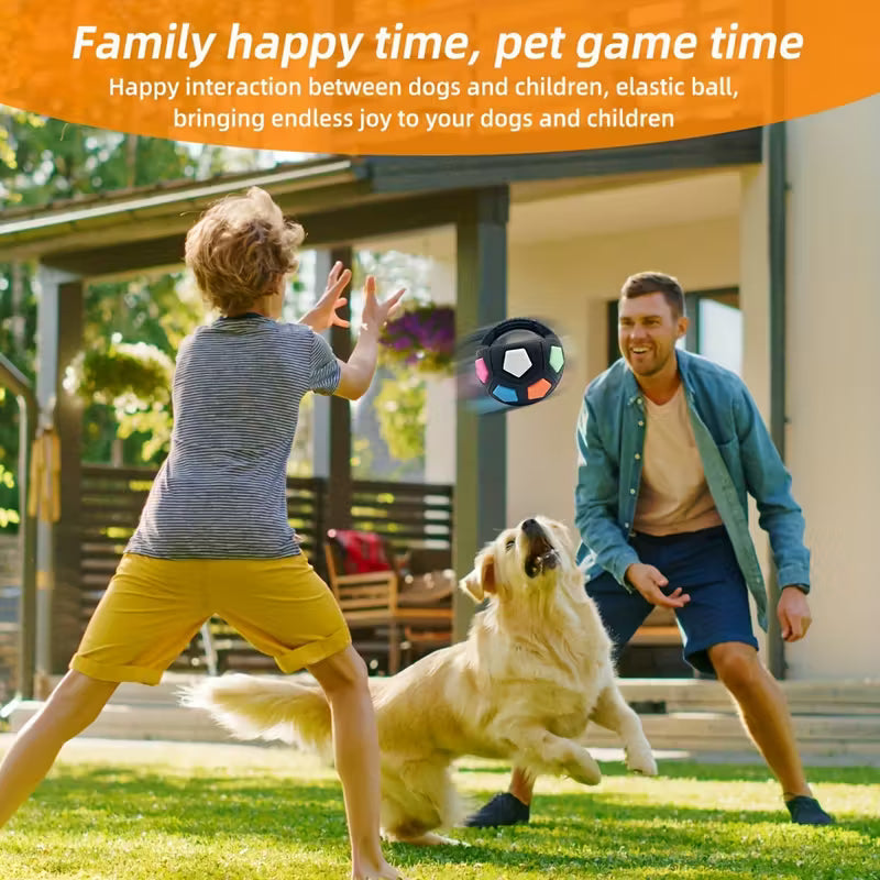 TPR Squeaky Dog Football