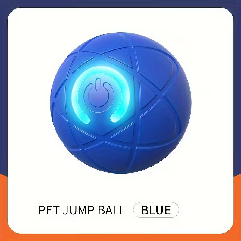 Interactive LED Pet Ball Toy