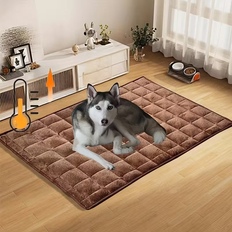 Winter Plush Pet Mat