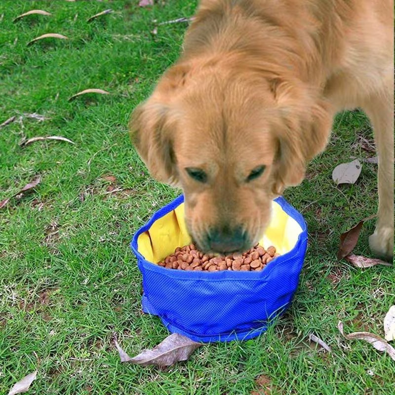 Foldable Dog Water Bowl & Food Storage Bag