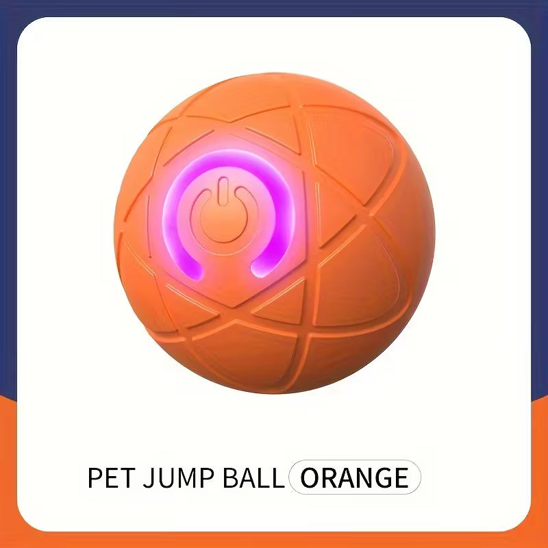 Interactive LED Pet Ball Toy