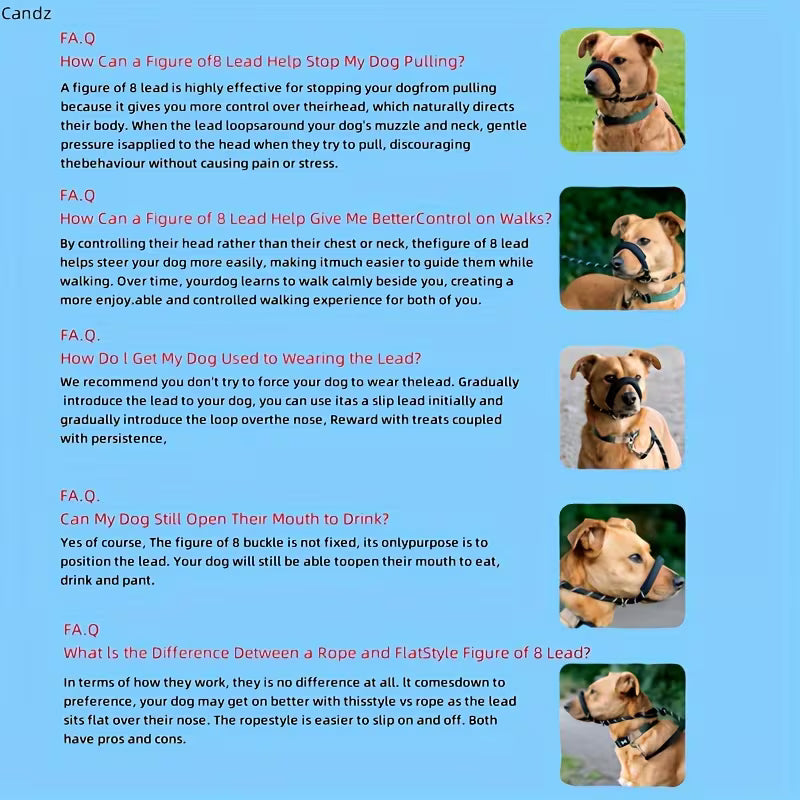 Anti-Pull Dog Leash with Padded Nose Strap