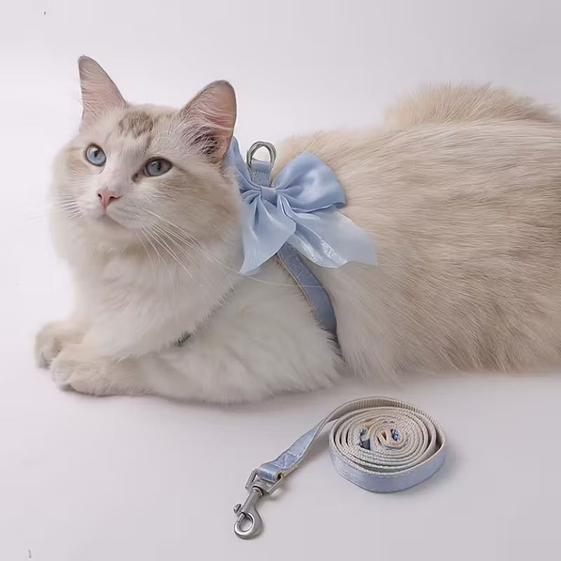 Cat Harness and Leash Set