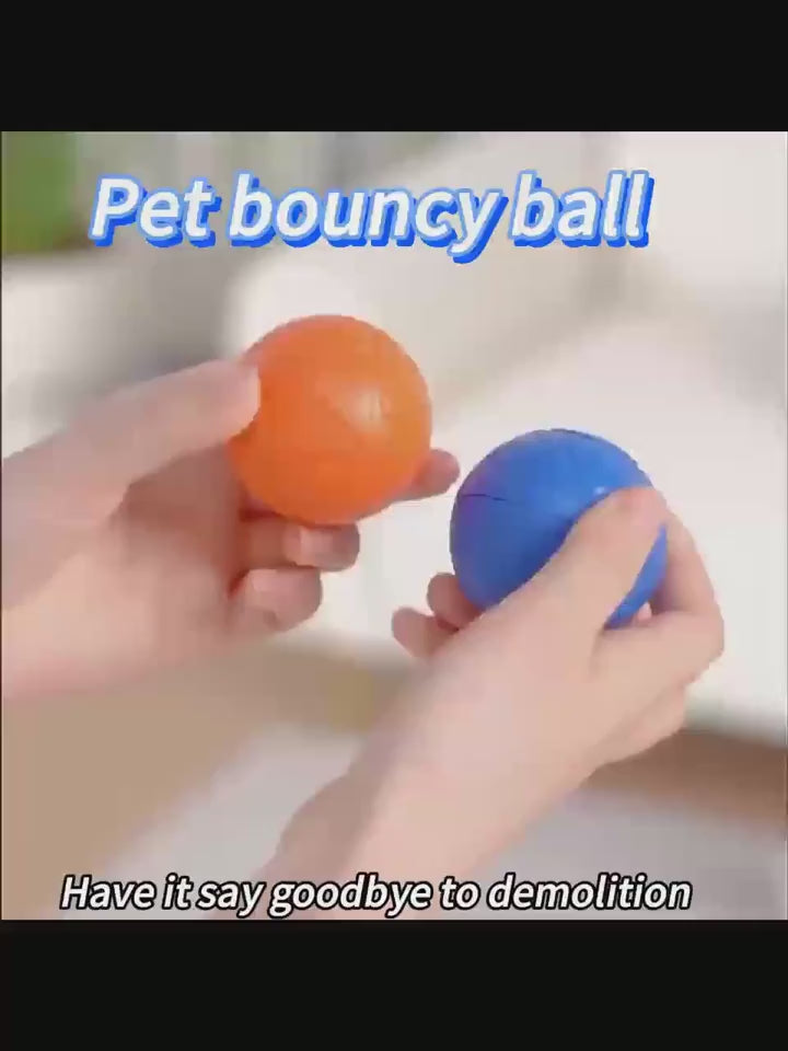 Interactive LED Pet Ball Toy