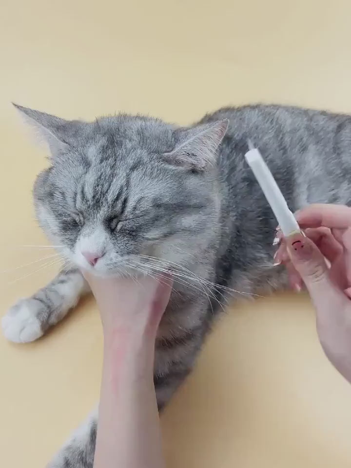 Flea Comb with Handle