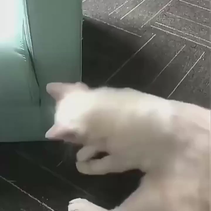 Scratch Furniture Protection Film