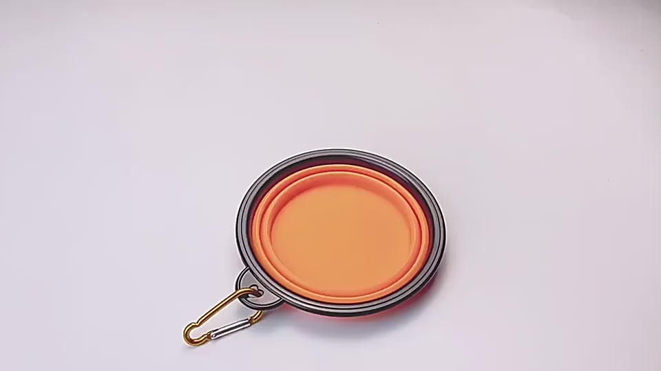 Collapsible Dog Bowls