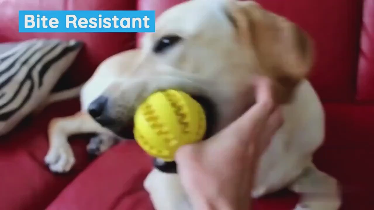 Elastic Dog Ball Chew Toy