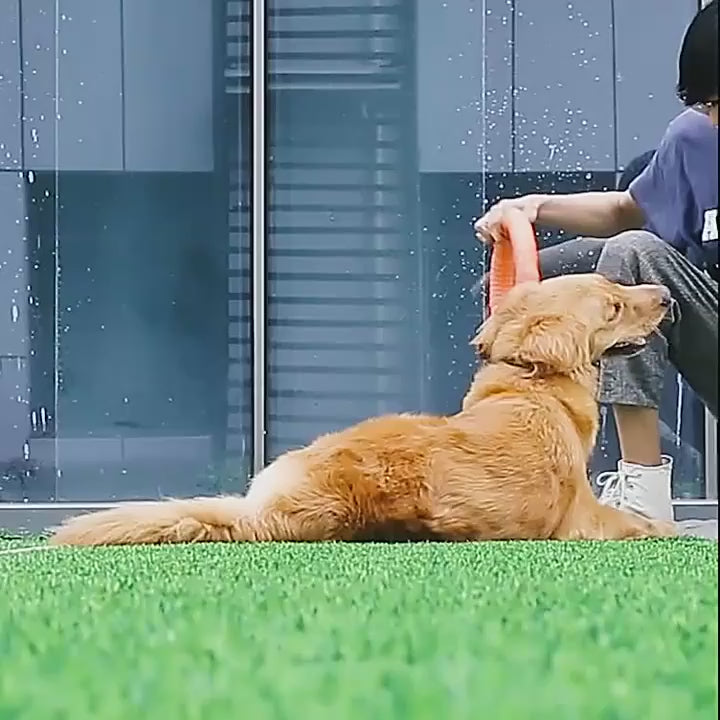 Durable Dog Flying Disc