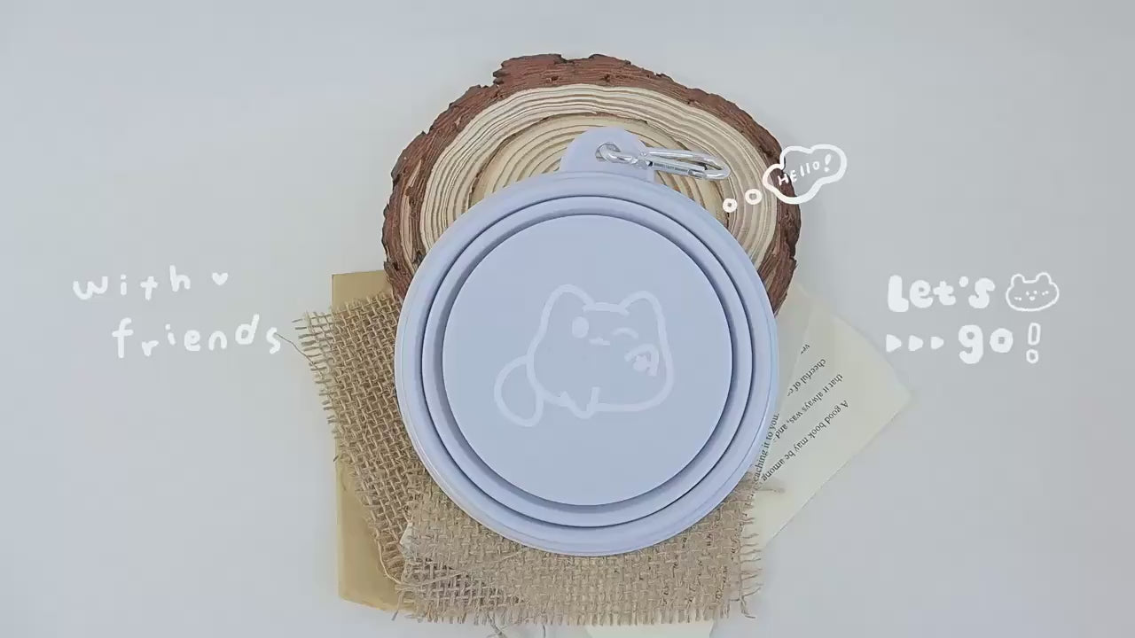 Collapsible Silicone Pet Bowl