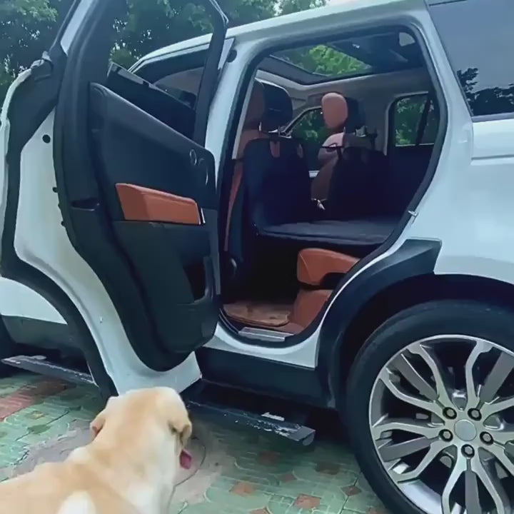 Travel Hammock & Seat Cushion