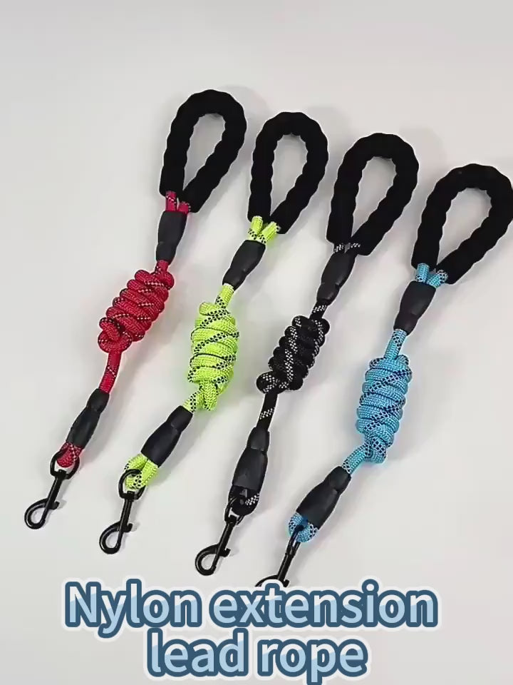 Reflective Heavy-Duty Nylon Dog Leash