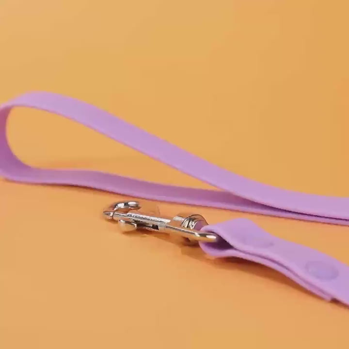 Waterproof Extra-Long Dog Training Leash