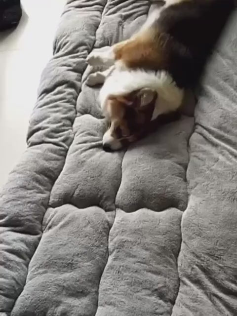 Extra-Large Plush Dog Bed Sofa