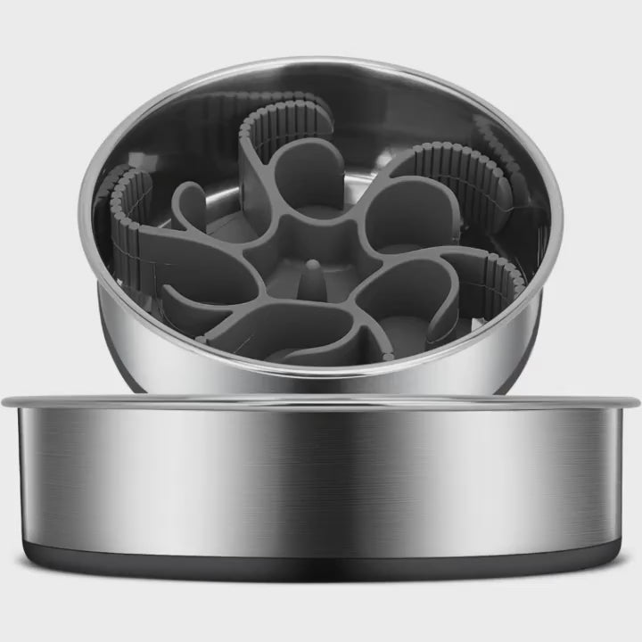 2-in-1 Slow Feeder Dog Bowls