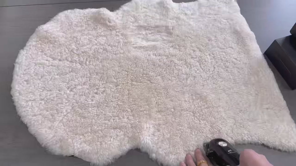 Dog Grooming Clipper Set