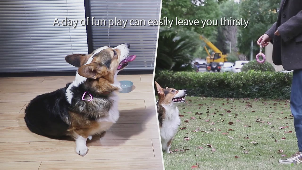 Pet Gravity Water Dispenser