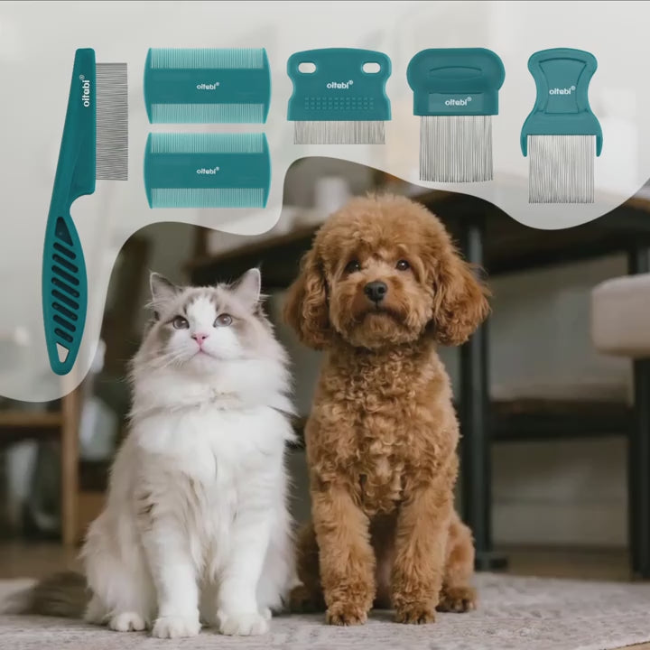 Flea & Lice Comb Set