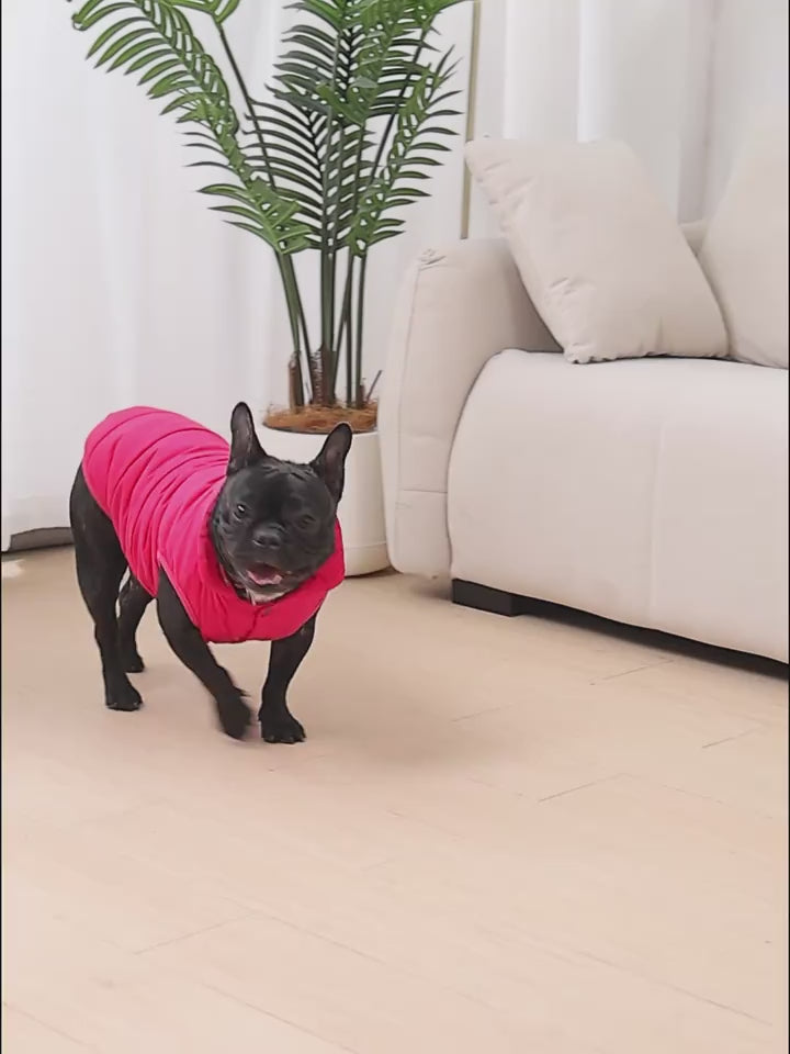 Pet Travel Line Coat