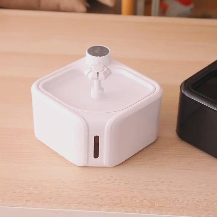 Pet Water Fountain Dispenser